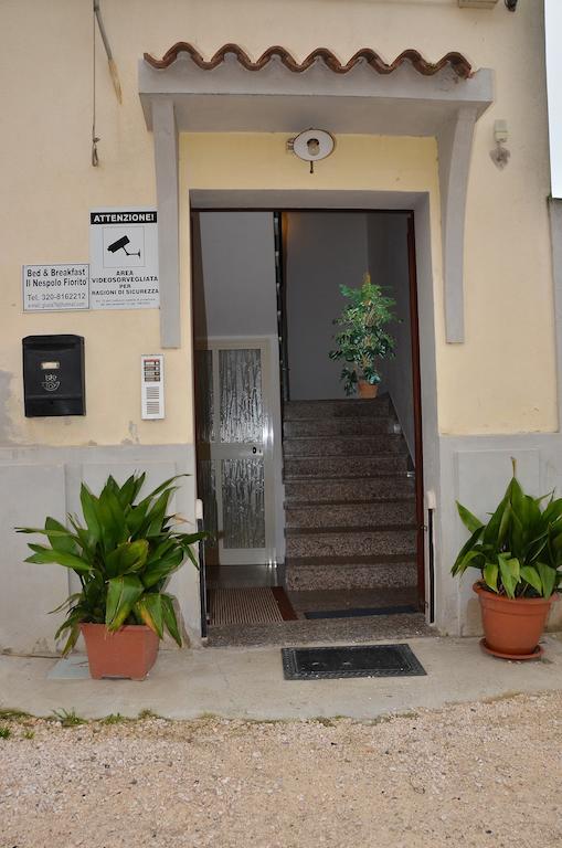 Domo - Guest-House Il Nespolo Fiorito Bed and Breakfast Orosei Exteriör bild